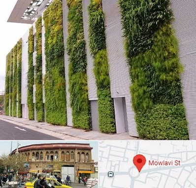 دیوار سبز در مولوی