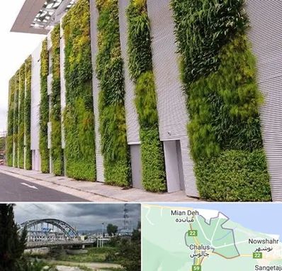 دیوار سبز در چالوس