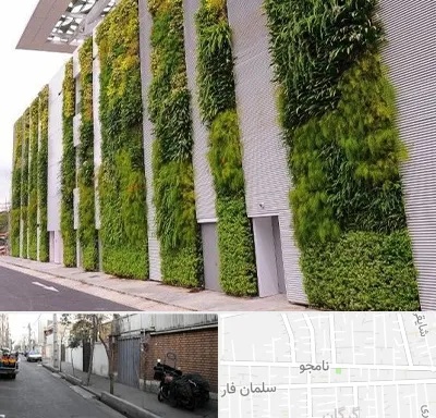 دیوار سبز در خیابان نامجو