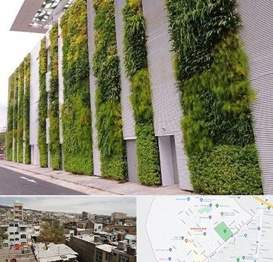 دیوار سبز در شمیران نو 