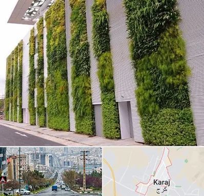 دیوار سبز در گوهردشت کرج 