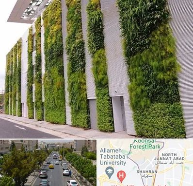 دیوار سبز در شهران 