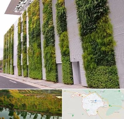 دیوار سبز در بهبهان