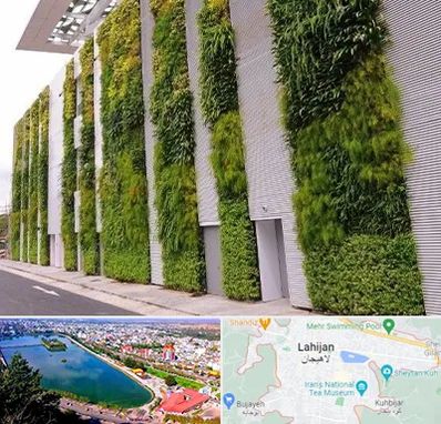 دیوار سبز در لاهیجان