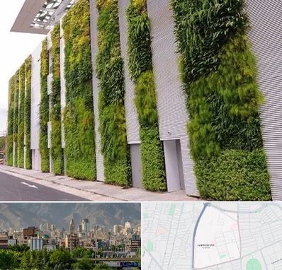 دیوار سبز در جمشیدیه