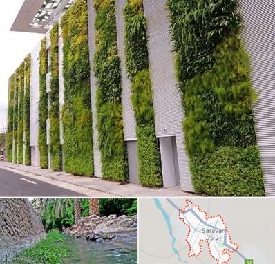 دیوار سبز در سراوان