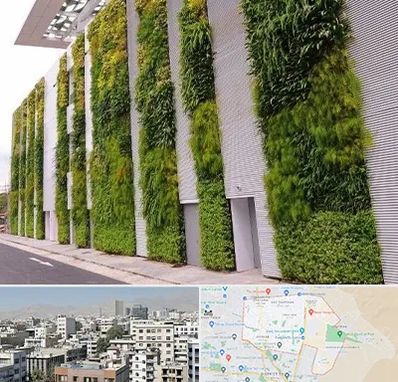 دیوار سبز در منطقه 14 تهران 