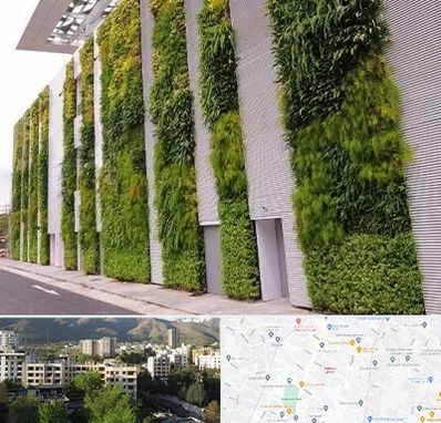 دیوار سبز در دیباجی 