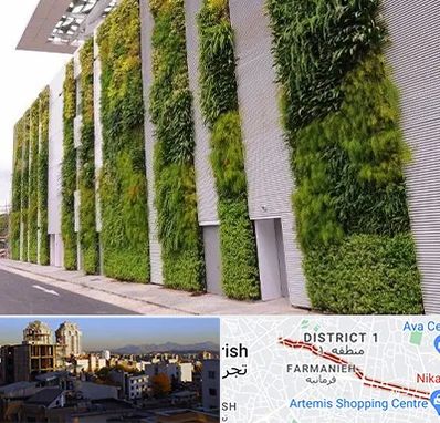 دیوار سبز در فرمانیه 