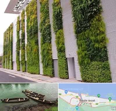 دیوار سبز در بندر انزلی