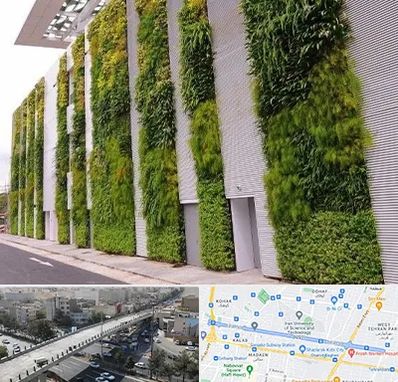 دیوار سبز در فرجام