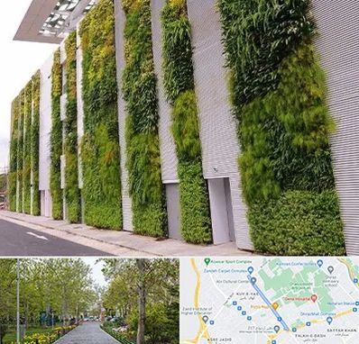 دیوار سبز در قدوسی غربی شیراز 