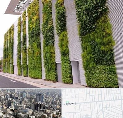 دیوار سبز در جیحون