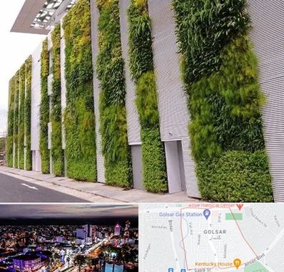 دیوار سبز در گلسار رشت 