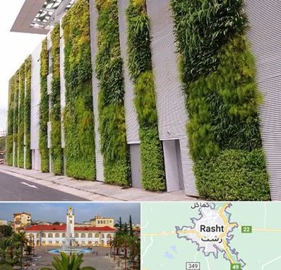 دیوار سبز در رشت