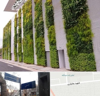 دیوار سبز در سی متری جی