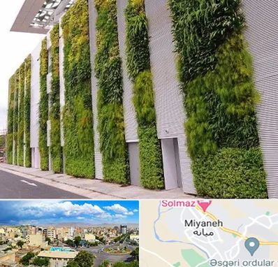 دیوار سبز در میانه