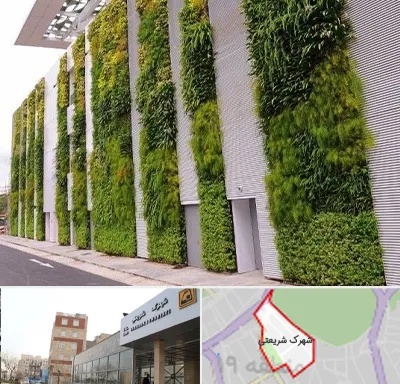 دیوار سبز در شهرک شریعتی