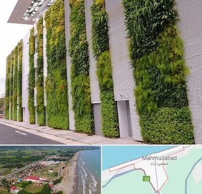 دیوار سبز در محمودآباد