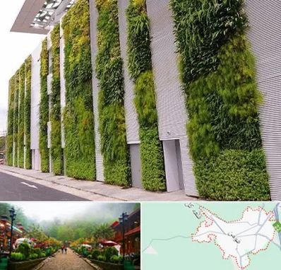 دیوار سبز در فومن