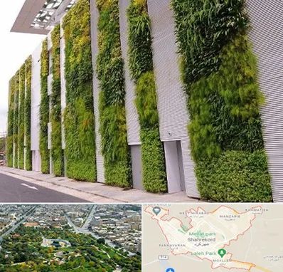 دیوار سبز در شهرکرد