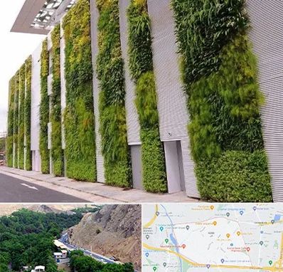 دیوار سبز در کن 