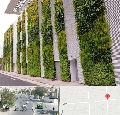 دیوار سبز در هاشمی