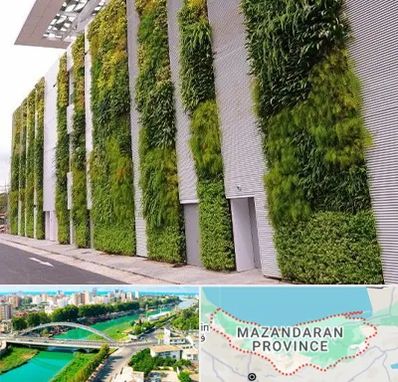 دیوار سبز در مازندران