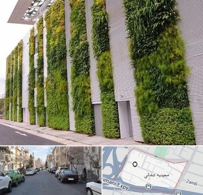دیوار سبز در مجیدیه شمالی