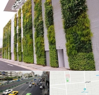 دیوار سبز در خیابان دامپزشکی