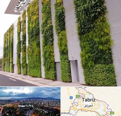 دیوار سبز در تبریز