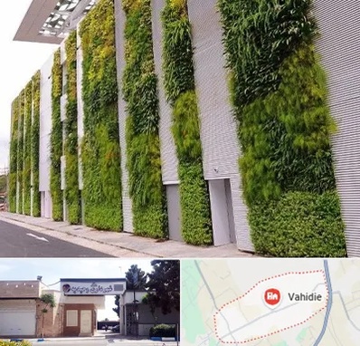 دیوار سبز در وحیدیه شهریار
