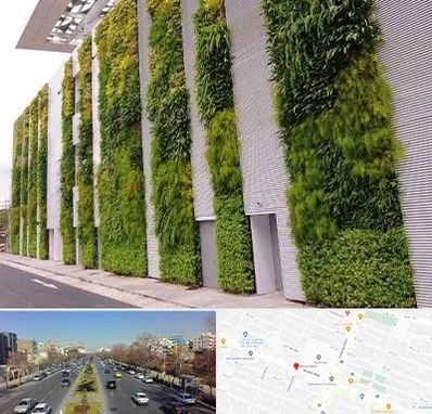 دیوار سبز در بلوار معلم مشهد 