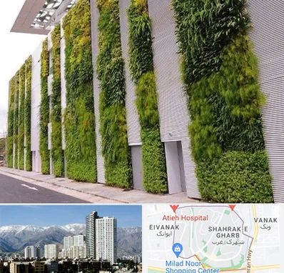 دیوار سبز در شهرک غرب 