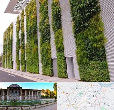 دیوار سبز در عفیف آباد شیراز 