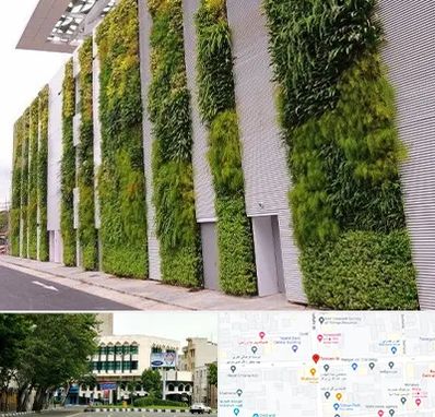 دیوار سبز در طالقانی 