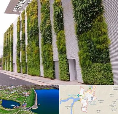 دیوار سبز در مهاباد