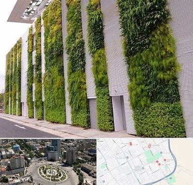 دیوار سبز در زرافشان اسلامشهر