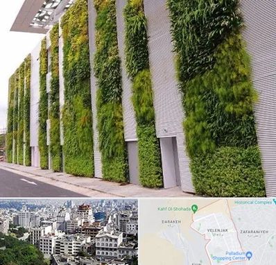 دیوار سبز در ولنجک 