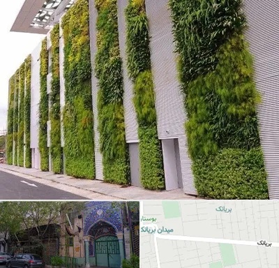 دیوار سبز در بریانک