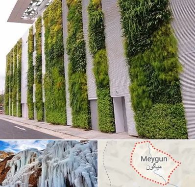 دیوار سبز در میگون