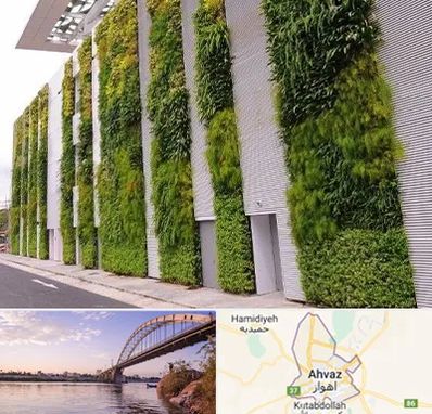 دیوار سبز در اهواز