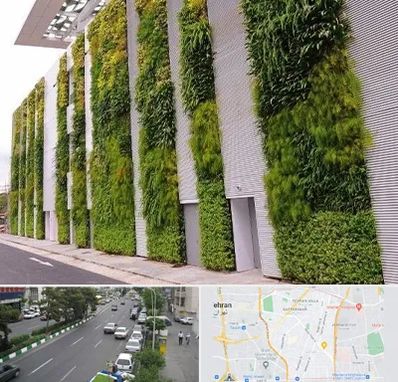 دیوار سبز در ستارخان 