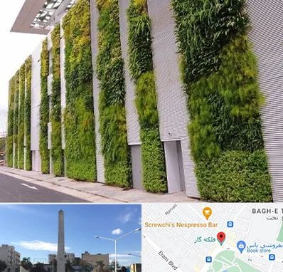 دیوار سبز در فلکه گاز شیراز 