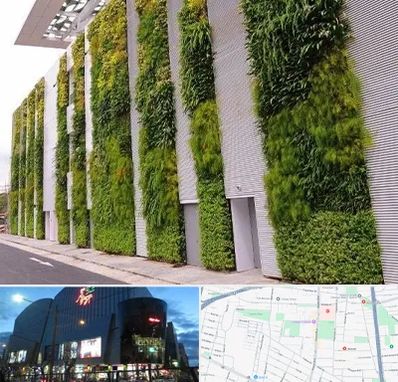 دیوار سبز در بلوار اباذر