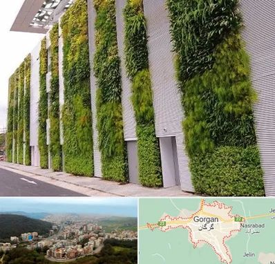 دیوار سبز در گرگان