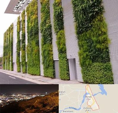 دیوار سبز در میناب