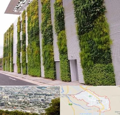 دیوار سبز در یاسوج