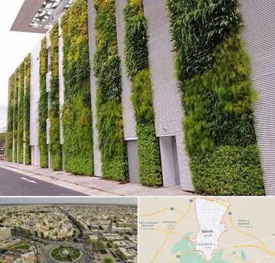 دیوار سبز در قزوین