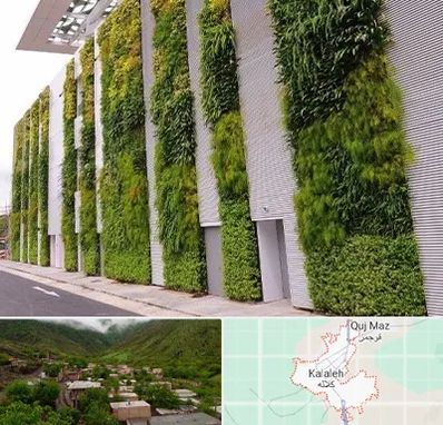 دیوار سبز در کلاله